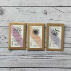 Literary based flower seeds | Bookmark & Co