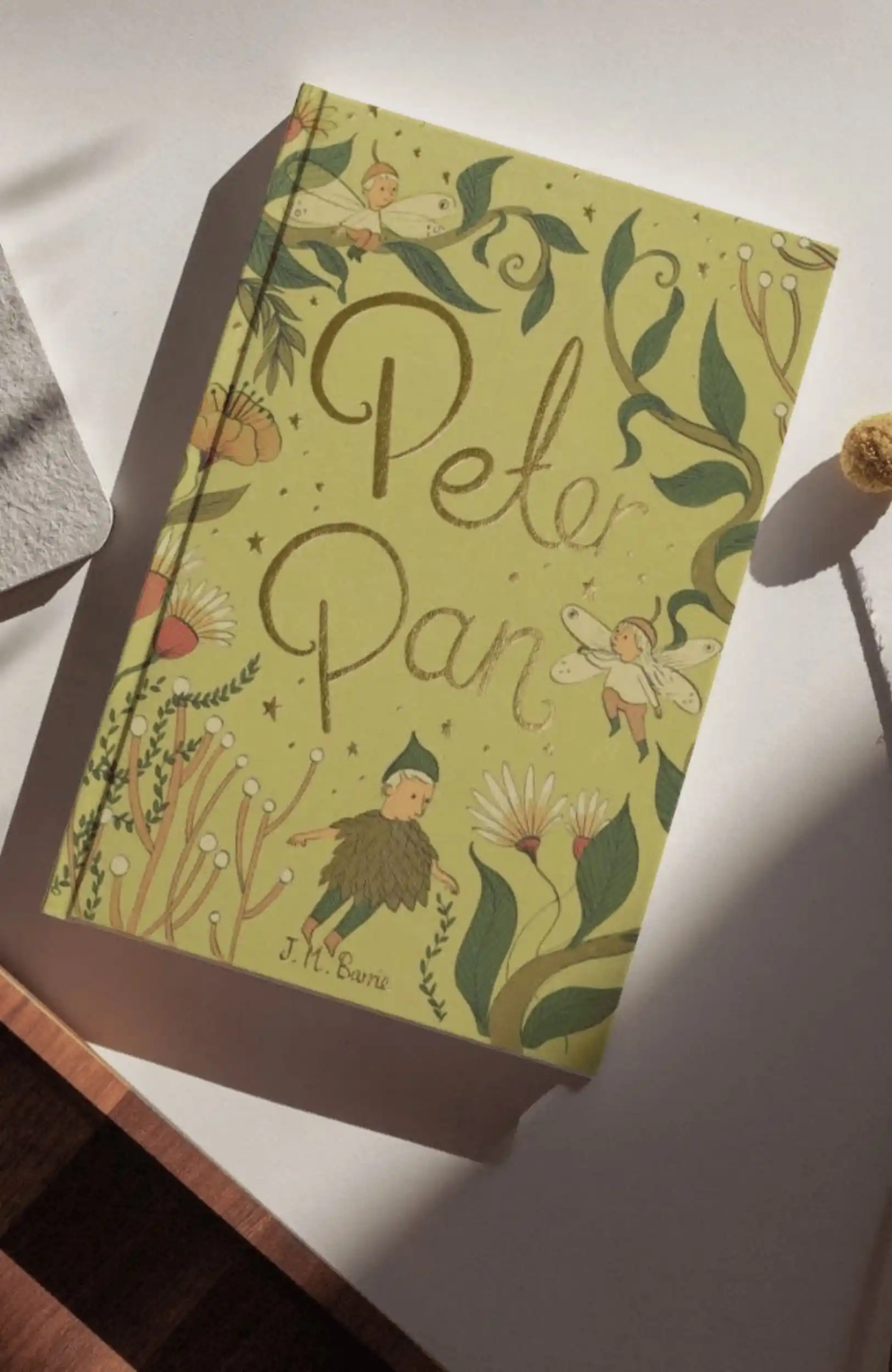 Peter Pan - Wordsworth Collector's Edition | Bookmark & Co